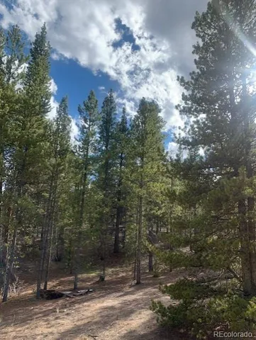 $79,000 | 180 Peakview, Leadville, CO 80461