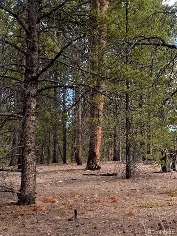 $79,000 | 180 Peakview, Leadville, CO 80461