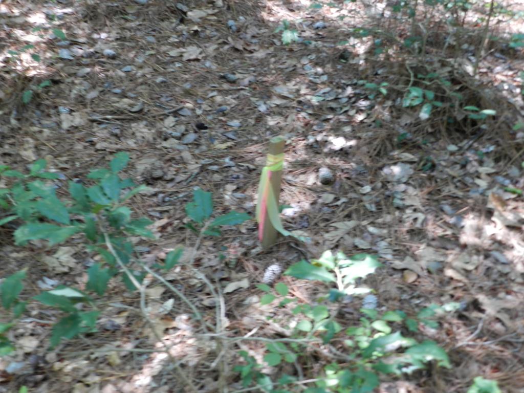 Lot B5 Saltworks Road, Unit B5 Exmore, VA 23350 - Photo 15 of 16