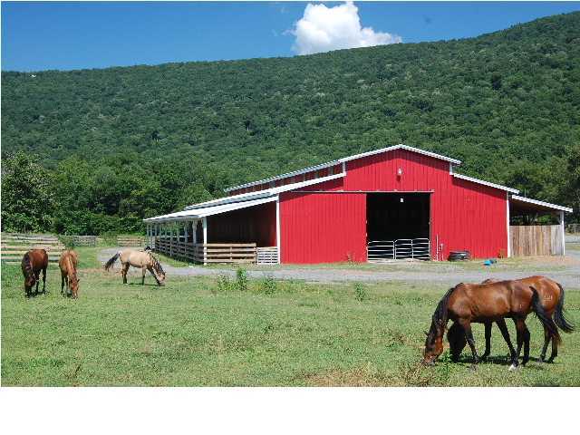 0 Newsome Gap Road, Unit 12 13 Rising Fawn, GA 30738 - Photo 3 of 13 Additional Photo
