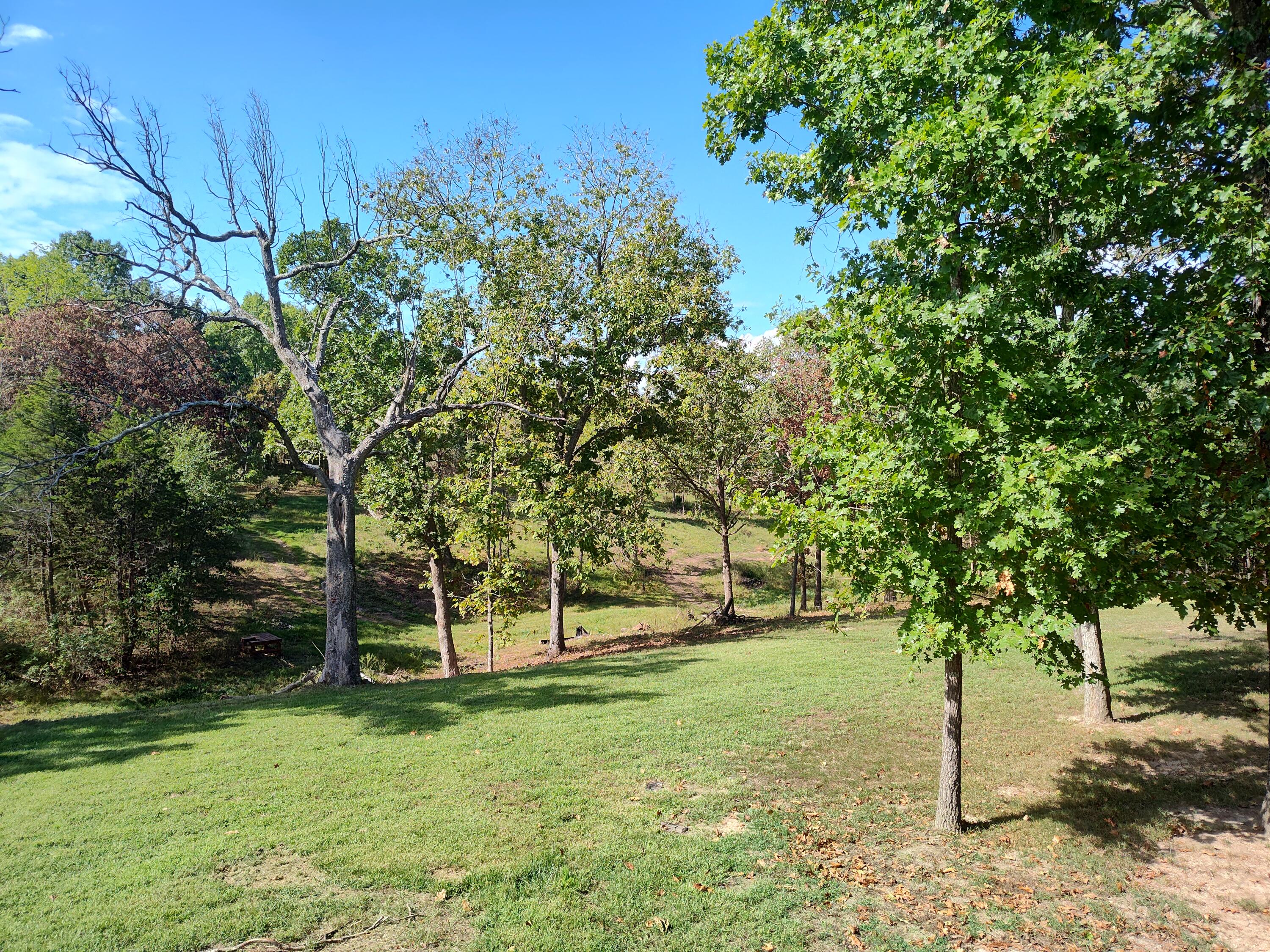 2373 East 540th Road Buffalo, MO 65622 - Photo 37 of 67 View