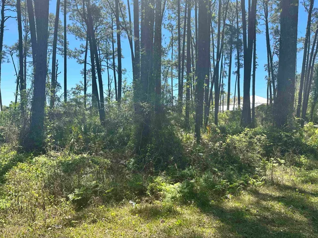 $208,000 | 2790 Highway 98 East, Carrabelle, FL 32322