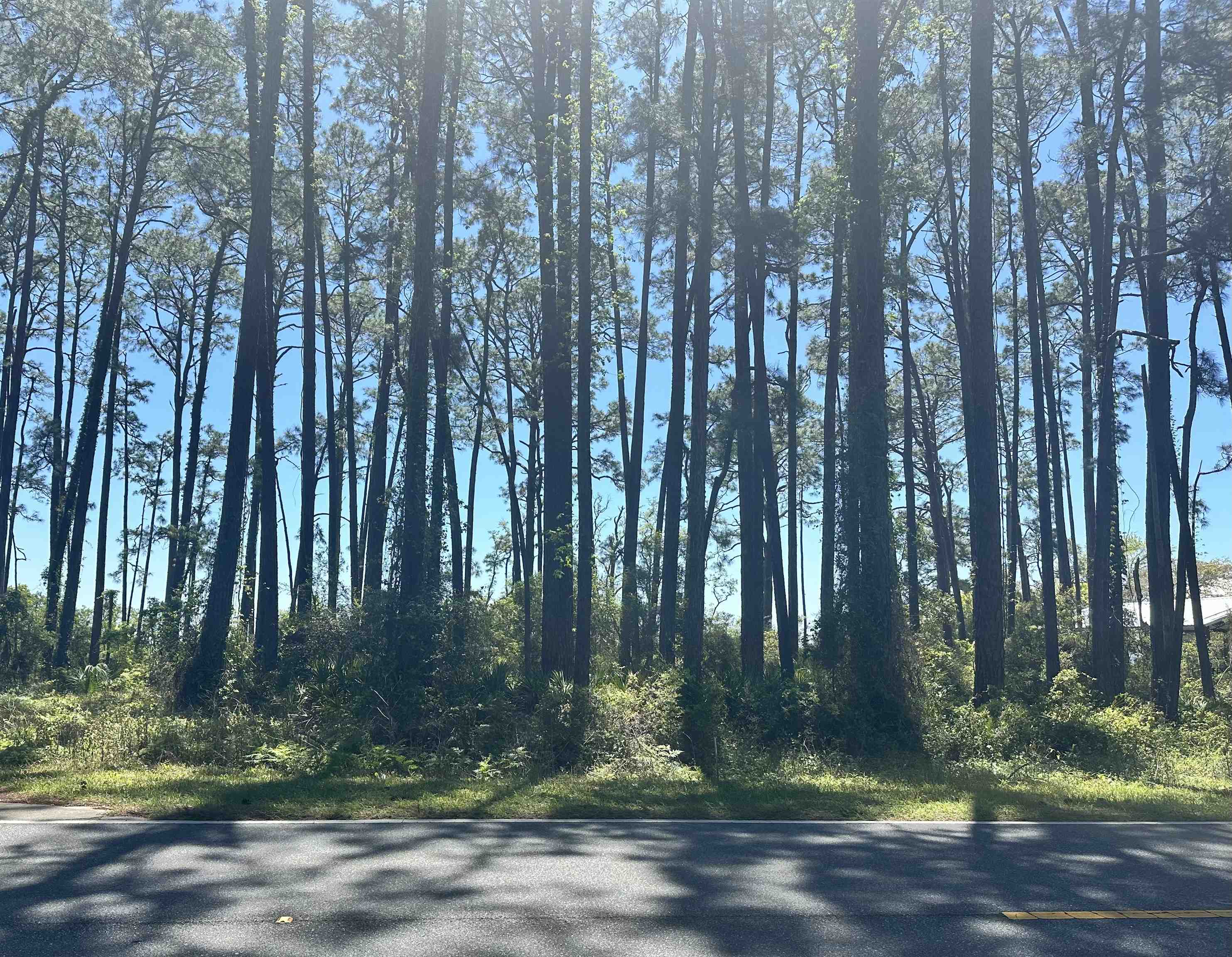 2790 Highway 98 East Carrabelle, FL 32322 - Photo 4 of 8