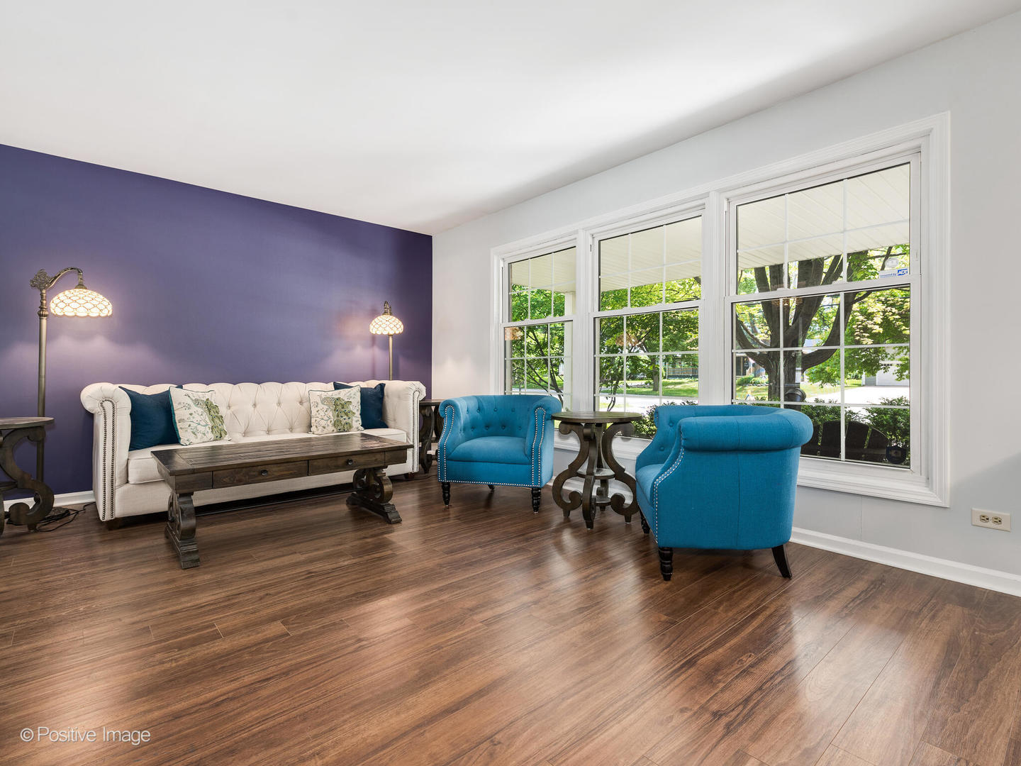 421 South River Road Naperville, IL 60540 - Photo 3 of 28 Gallery Image 3
