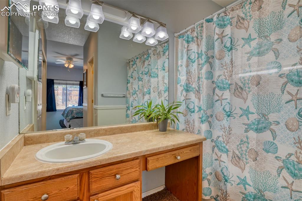 14333 Woodrock Path Colorado Springs, CO 80921 - Photo 26 of 32 Primary bath