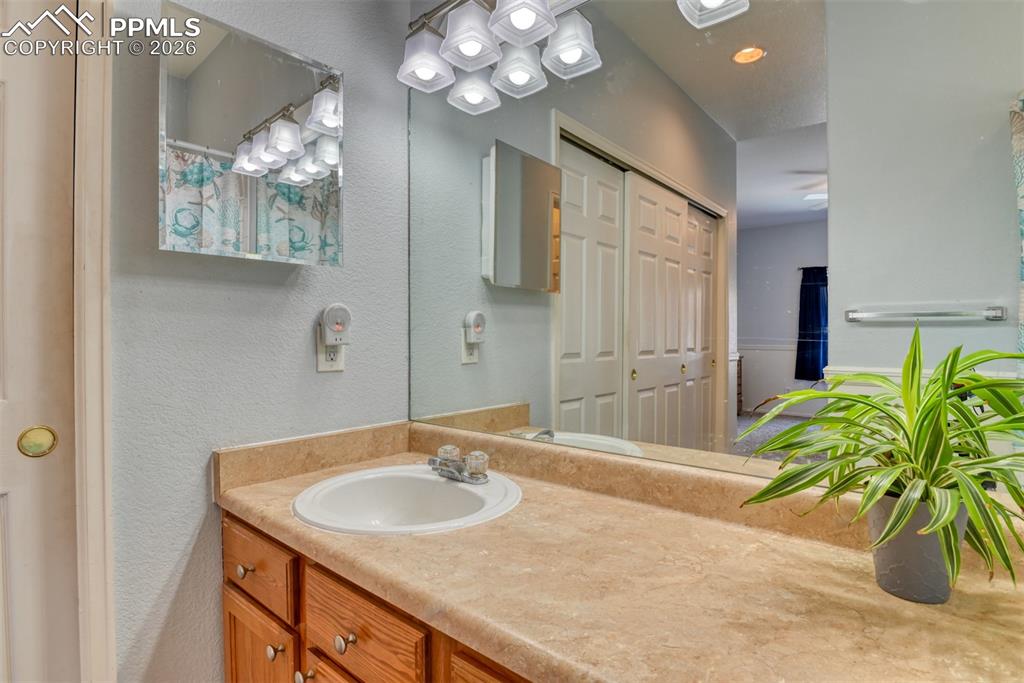 14333 Woodrock Path Colorado Springs, CO 80921 - Photo 27 of 32 Primary bath