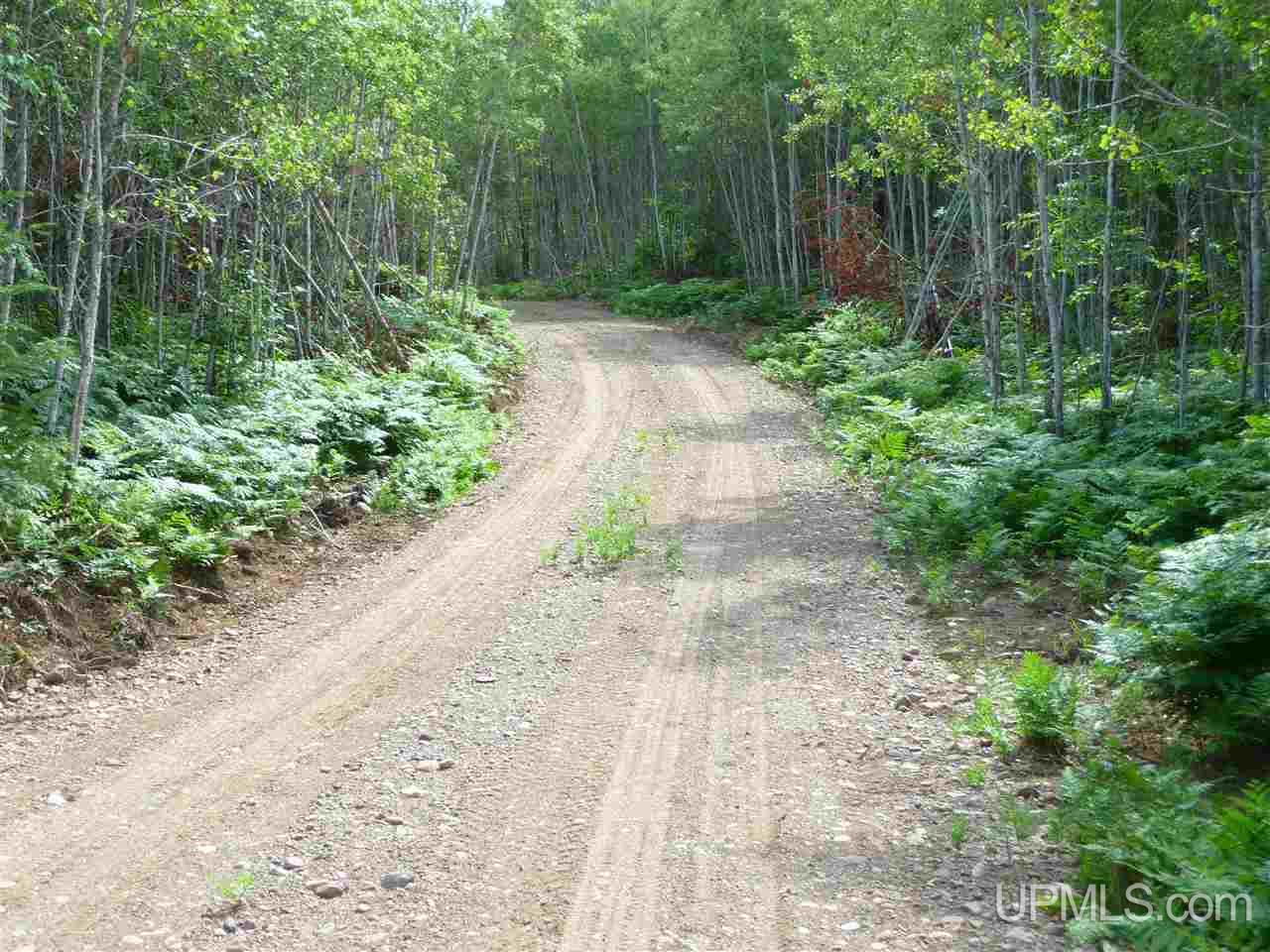 Tbd Tbd Road Republic, MI 49879 - Photo 12 of 21