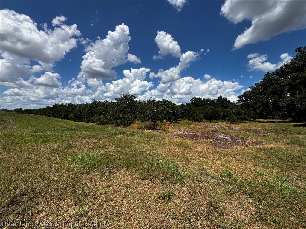 Rhynn Road Wauchula, FL 33873 - Photo 5 of 11