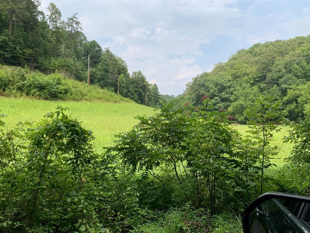 0 Long Branch Road Seymour, TN 37865 - Photo 1 of 5
