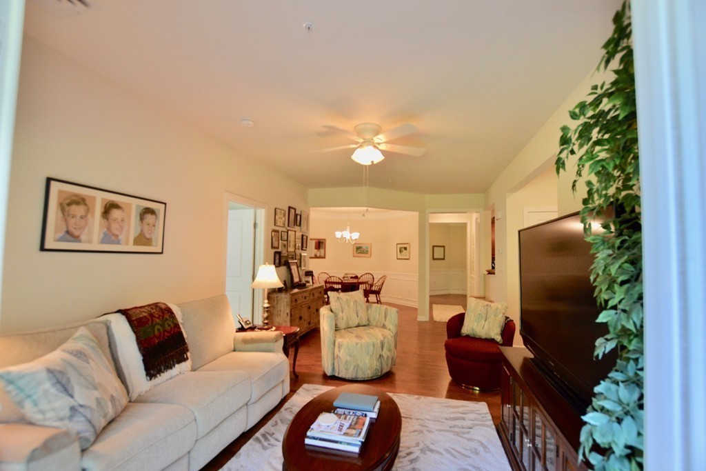 7 Augustus Court, Unit 1013 Reading, MA 01867 - Photo 13 of 34 a living room with furniture and a potted plant