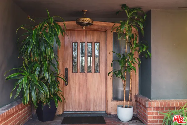 a potted plant sitting in front of a door