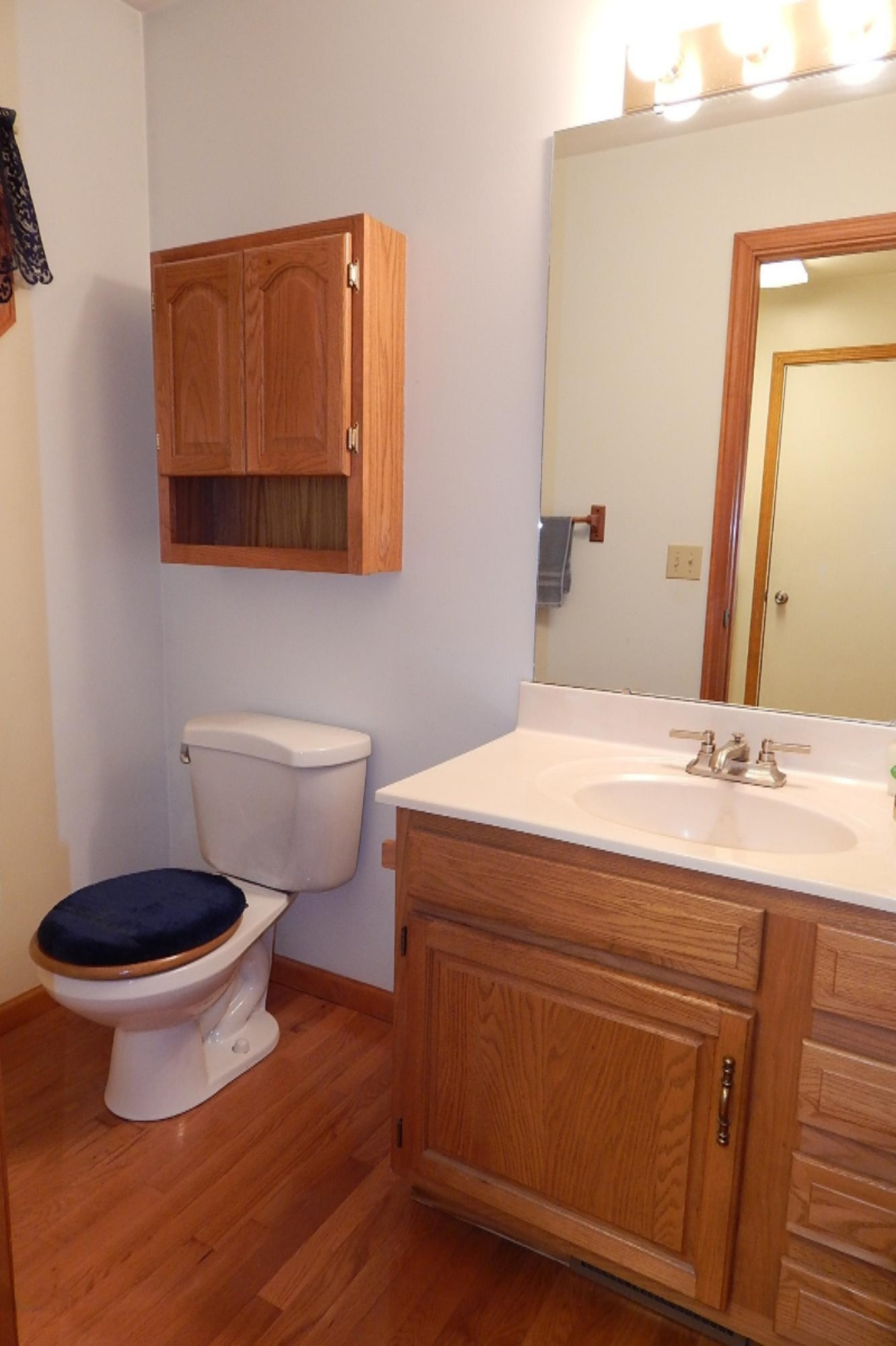 56445 Puma Drive Three Rivers, MI 49093 - Photo 12 of 28 DSCN2498