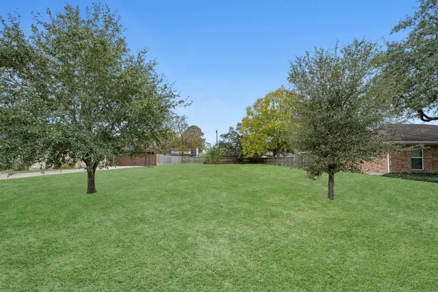 a view of garden with trees