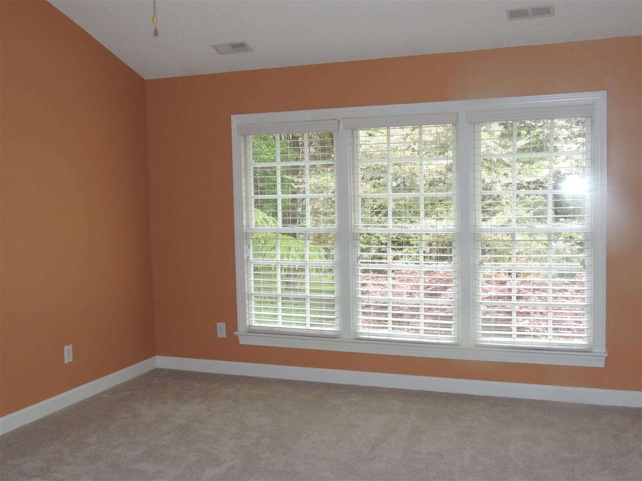 3217 Annandale Road Durham, NC 27705 - Photo 19 of 26 Master Bedroom