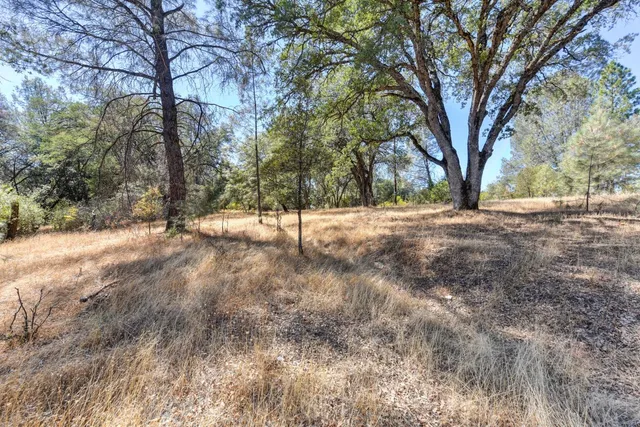 $649,000 | 535-7 Highway 49, Jackson, CA 95642