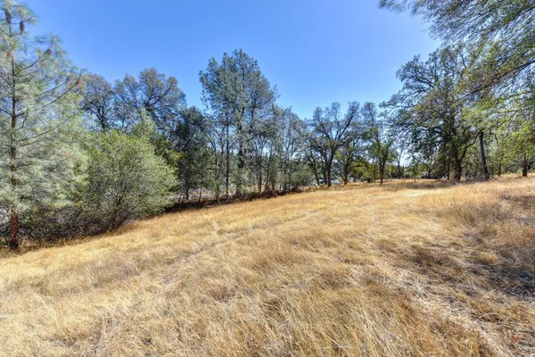 $500,000 | 535-7 Highway 49, Jackson, CA 95642