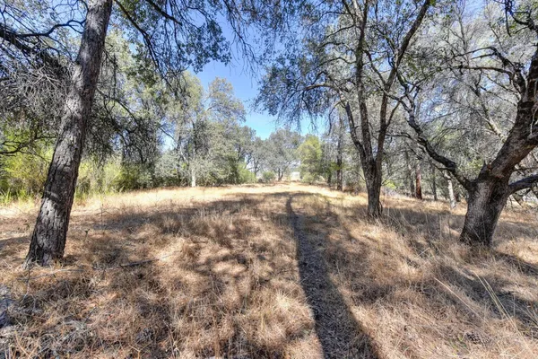 $500,000 | 535-7 Highway 49, Jackson, CA 95642