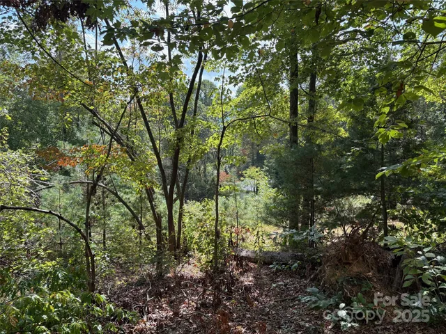 $125,000 | 25 West Keesler Avenue, Black Mountain, NC 28711