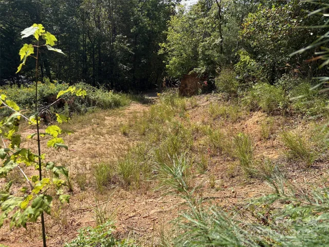 $125,000 | 25 West Keesler Avenue, Black Mountain, NC 28711