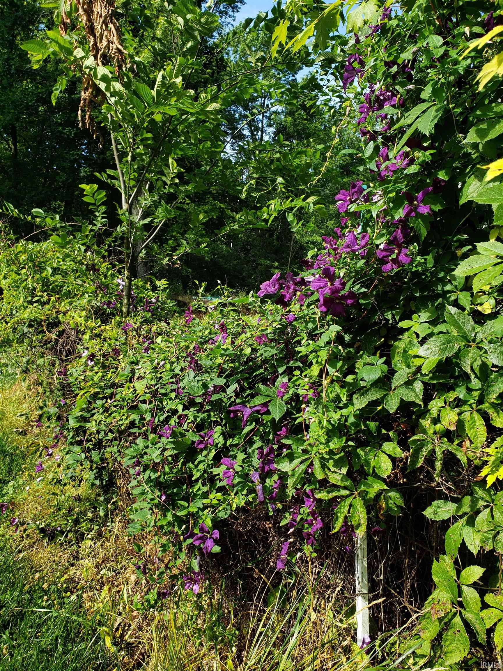 13265 Prospect Street Jasonville, IN 47438 - Photo 14 of 21