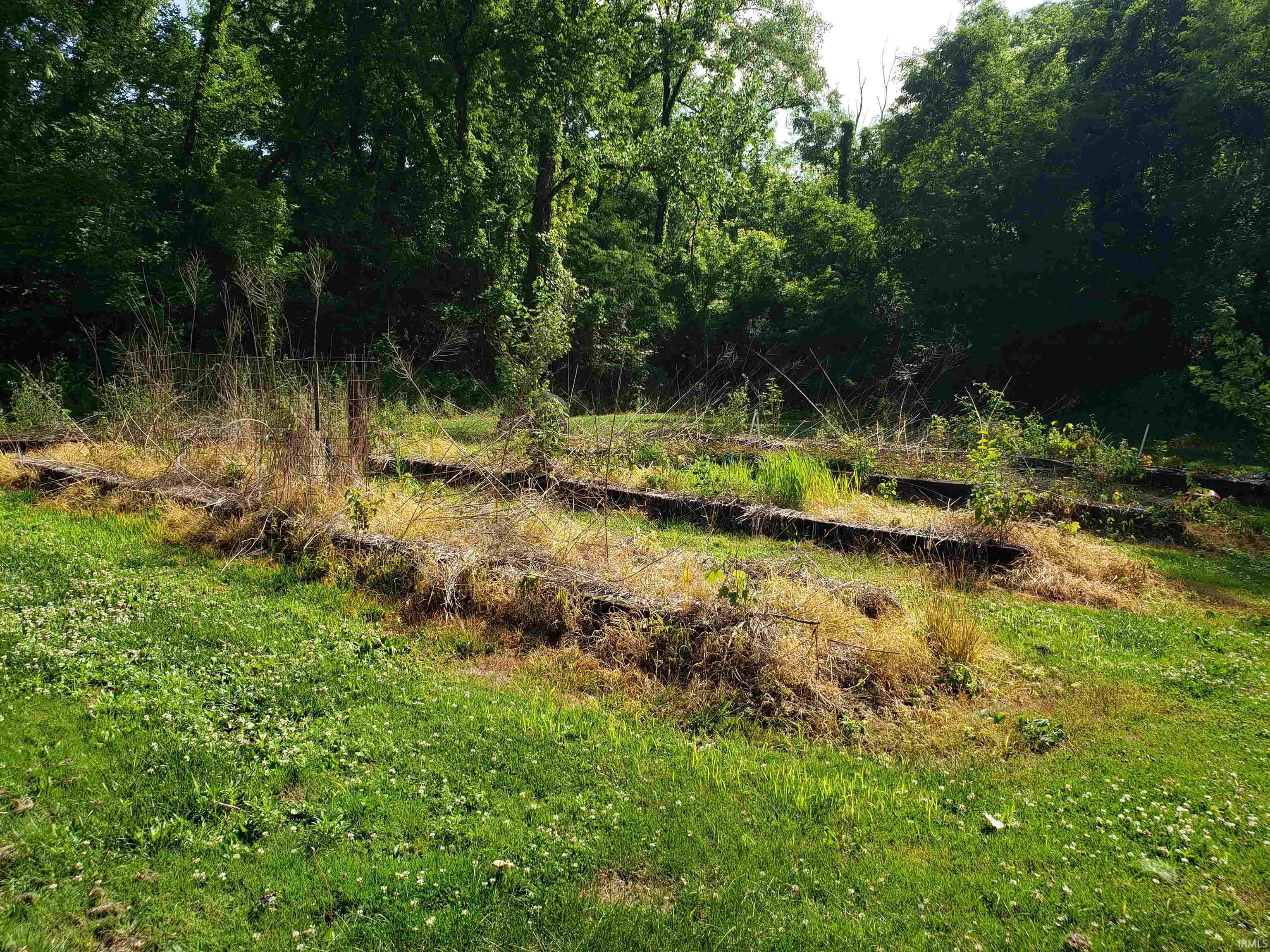 13265 Prospect Street Jasonville, IN 47438 - Photo 6 of 21