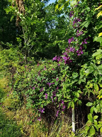 $115,000 | 13265 Prospect Street, Jasonville, IN 47438