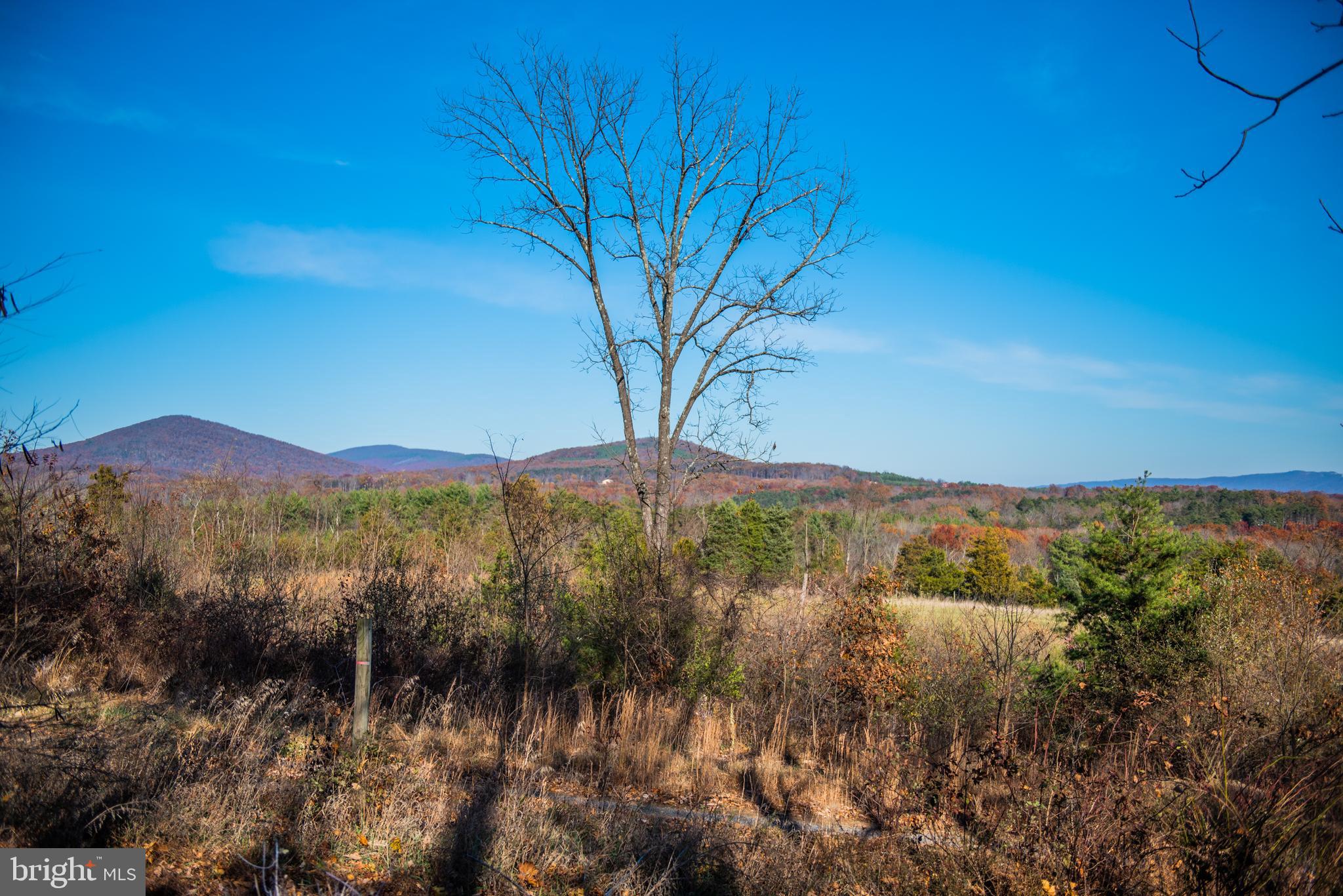 1-siler Road Winchester, VA 22603 - Photo 5 of 21 Come and see for yourself.