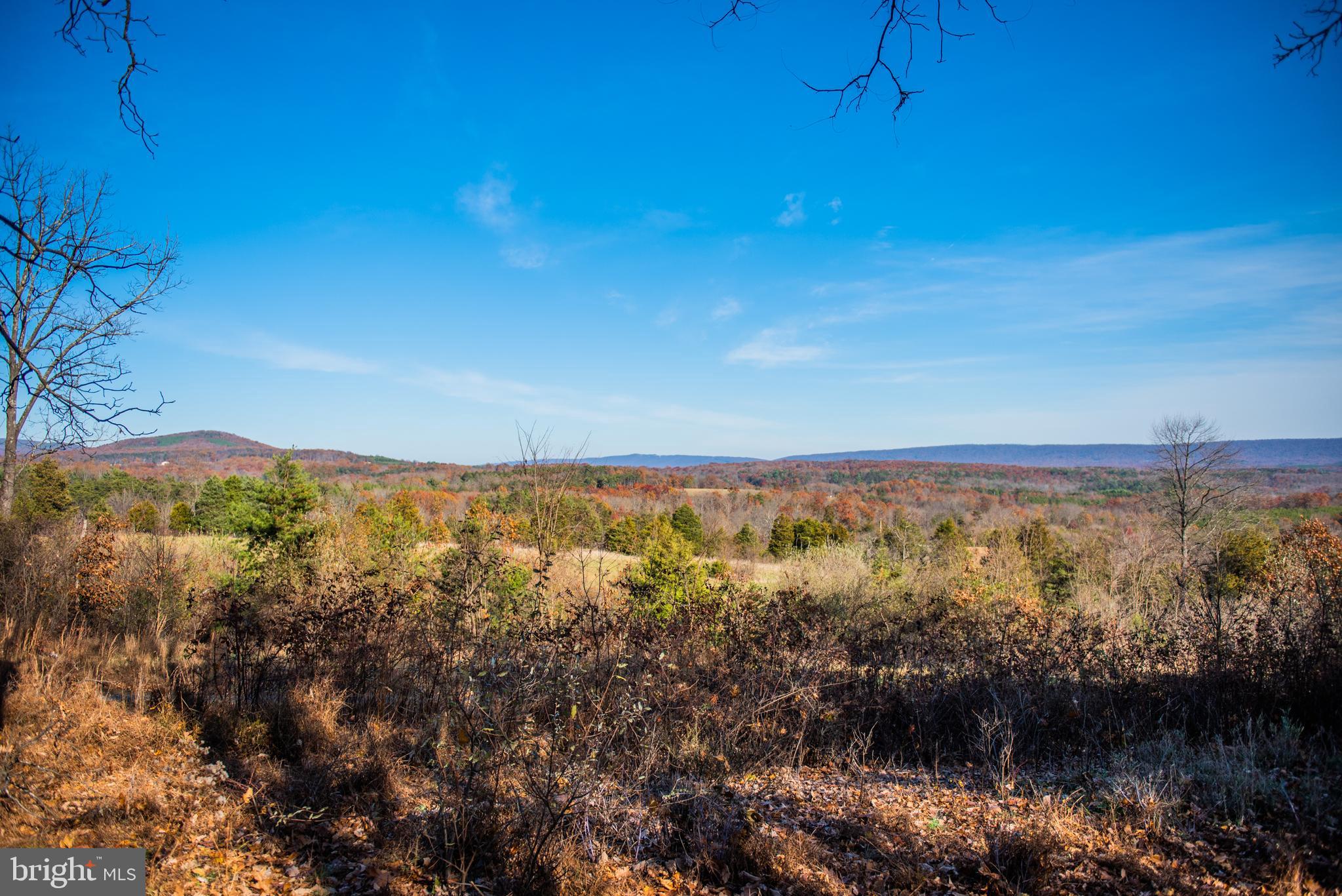 1-siler Road Winchester, VA 22603 - Photo 8 of 21 Beautiful all year long.