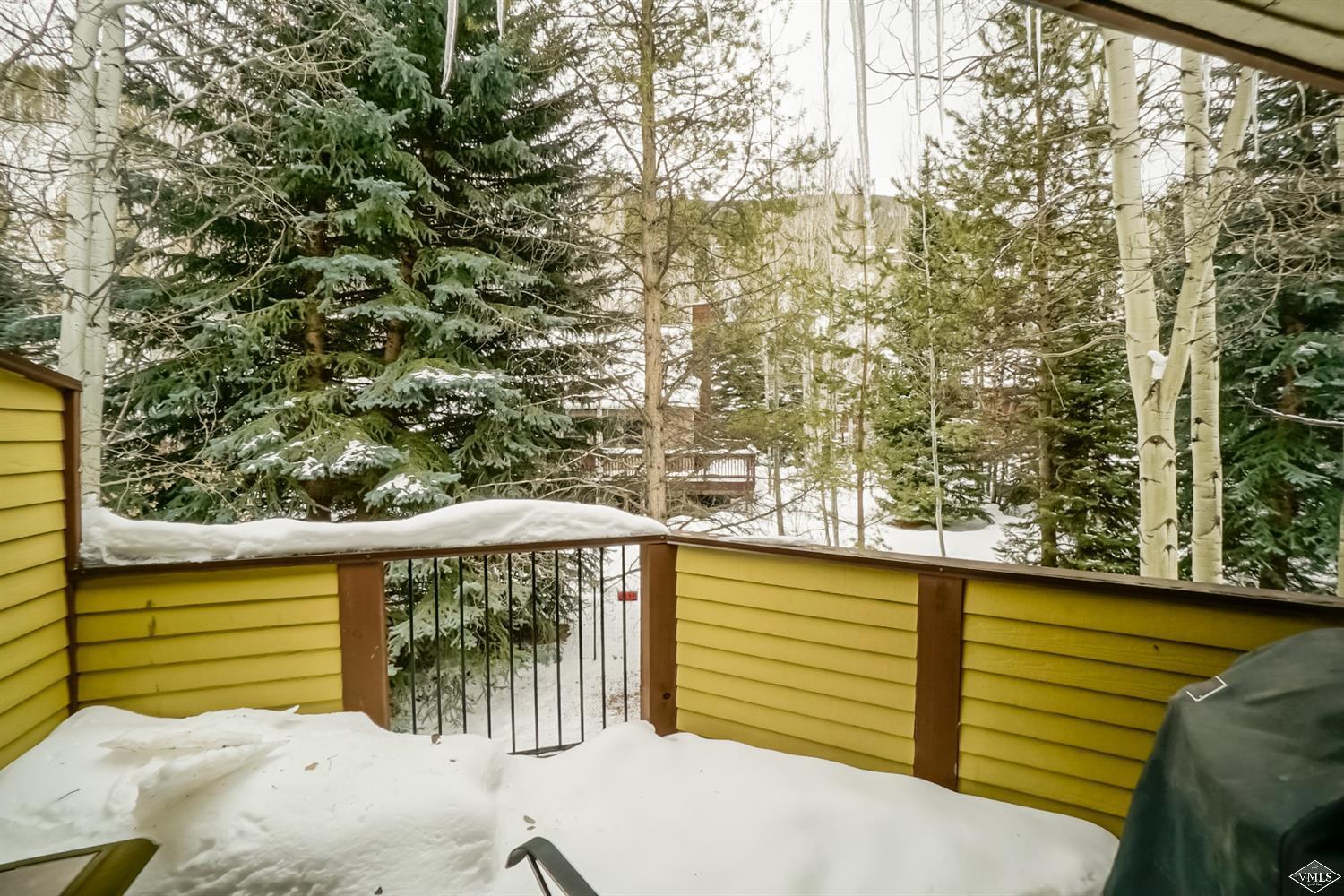 2560 Kinnickinnick Road, Unit F4 Vail, CO 81657 - Photo 8 of 25 Additional Photo