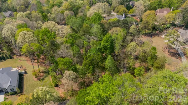 a view of a forest with a houses