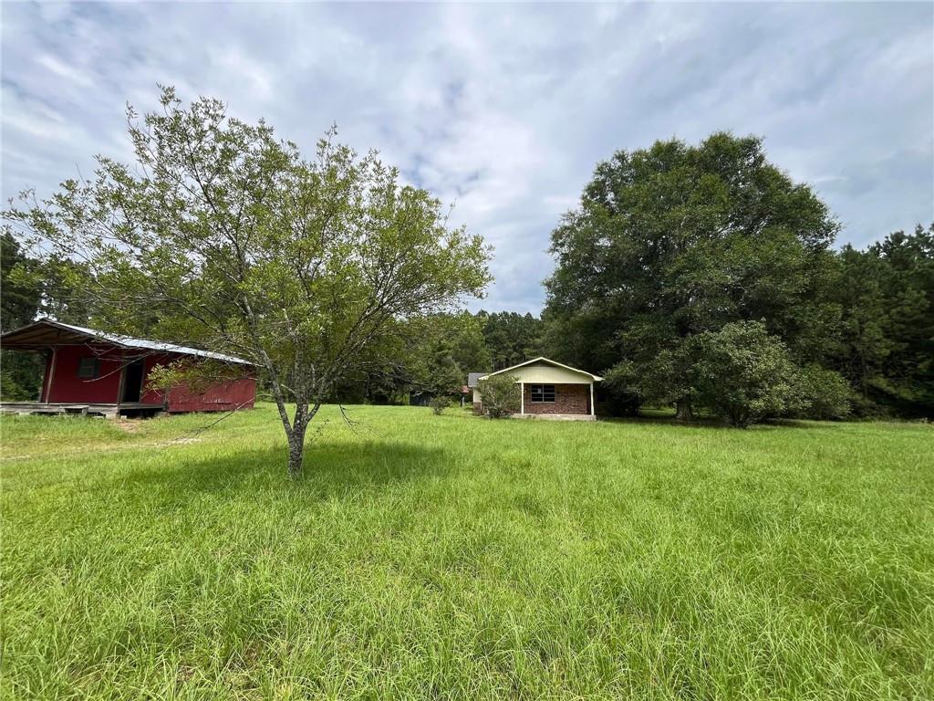 1445 Goldonna Road Goldonna, LA 71031 - Photo 3 of 17 Gallery Image 3