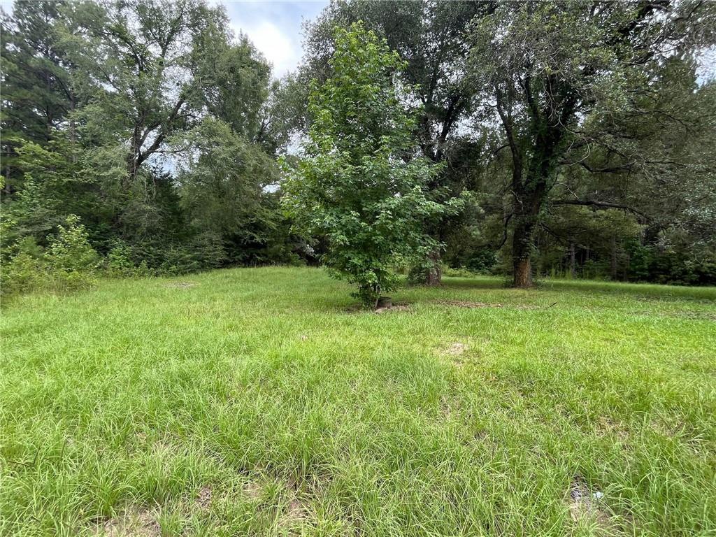 1445 Goldonna Road Goldonna, LA 71031 - Photo 5 of 17 Gallery Image 5