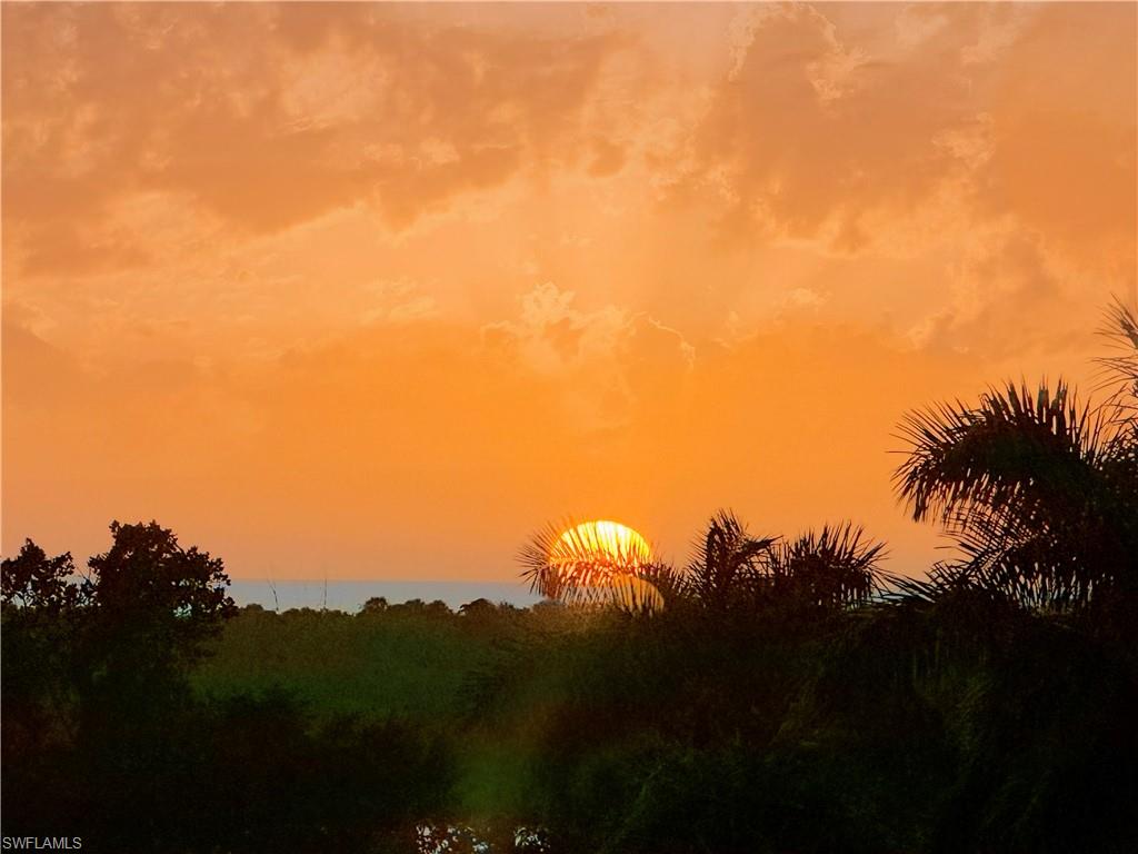 13935 Old Coast Road, Unit 406 Naples, FL 34110 - Photo 26 of 49 View of nature at dusk
