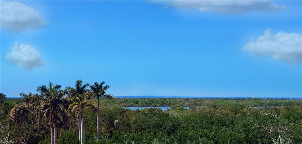 13935 Old Coast Road, Unit 406 Naples, FL 34110 - Photo 27 of 49 Water view featuring a heavily wooded area
