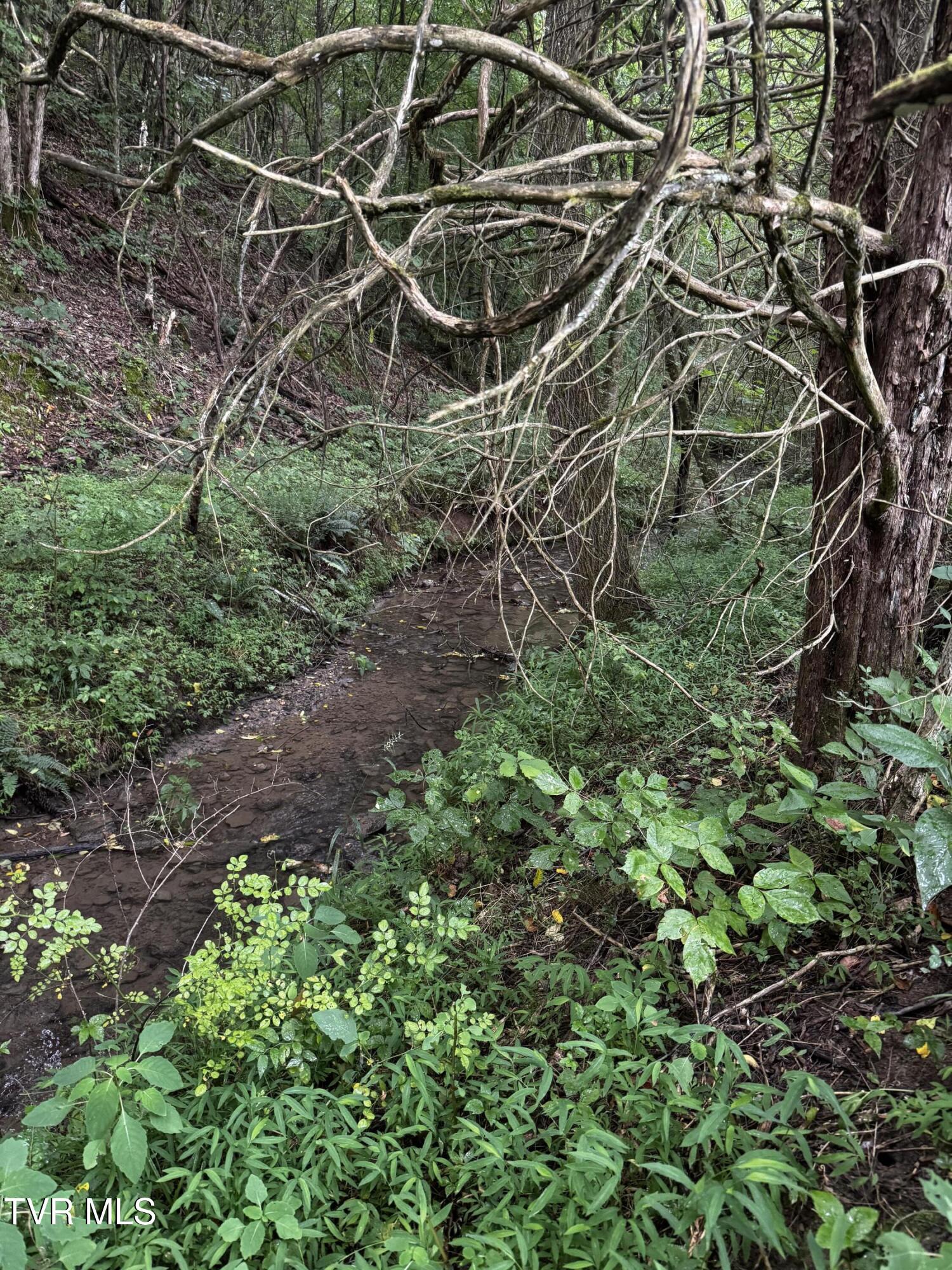 185 Union Road Greeneville, TN 37745 - Photo 43 of 47 IMG_3257