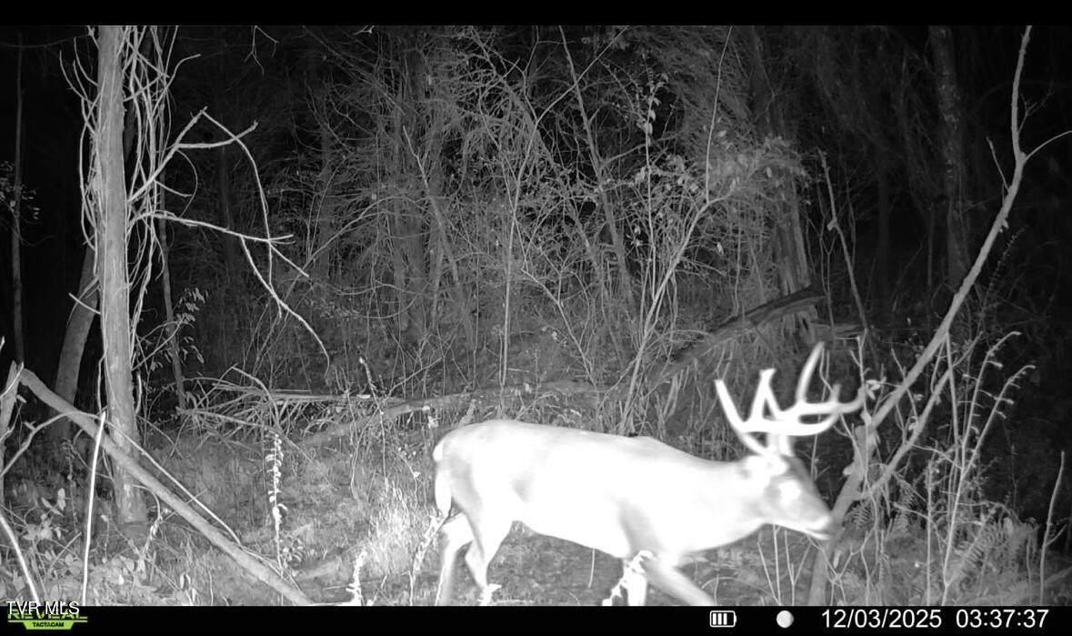 185 Union Road Greeneville, TN 37745 - Photo 44 of 47 IMG_6034