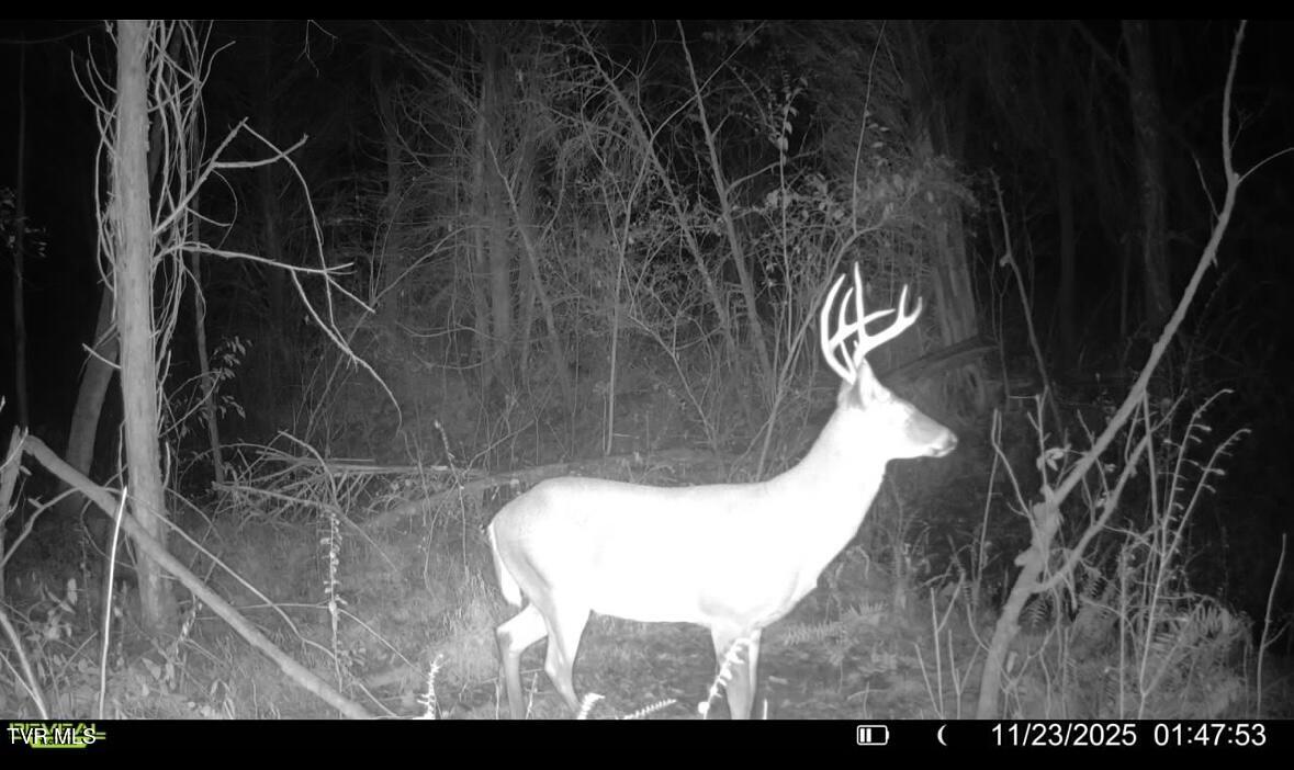 185 Union Road Greeneville, TN 37745 - Photo 45 of 47 IMG_6036