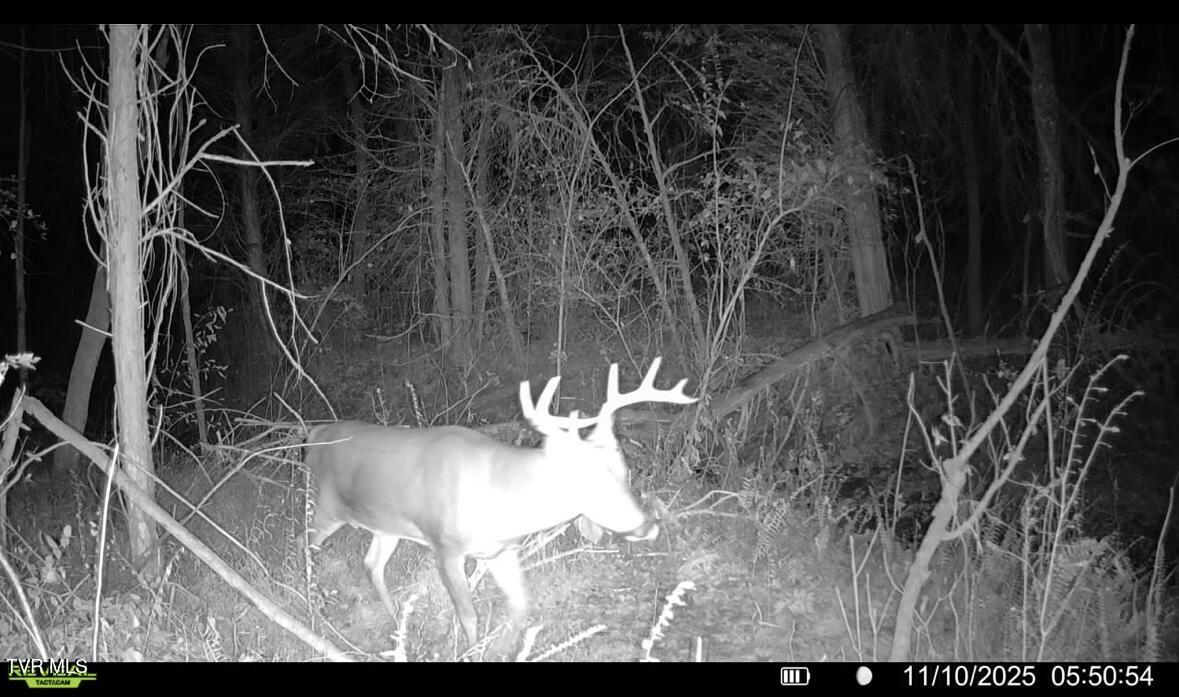 185 Union Road Greeneville, TN 37745 - Photo 46 of 47 IMG_6037