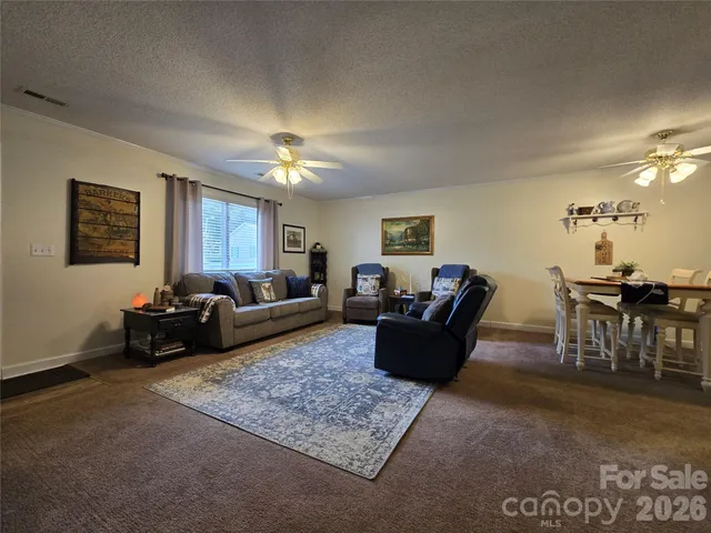 a living room with furniture potted plant and a window
