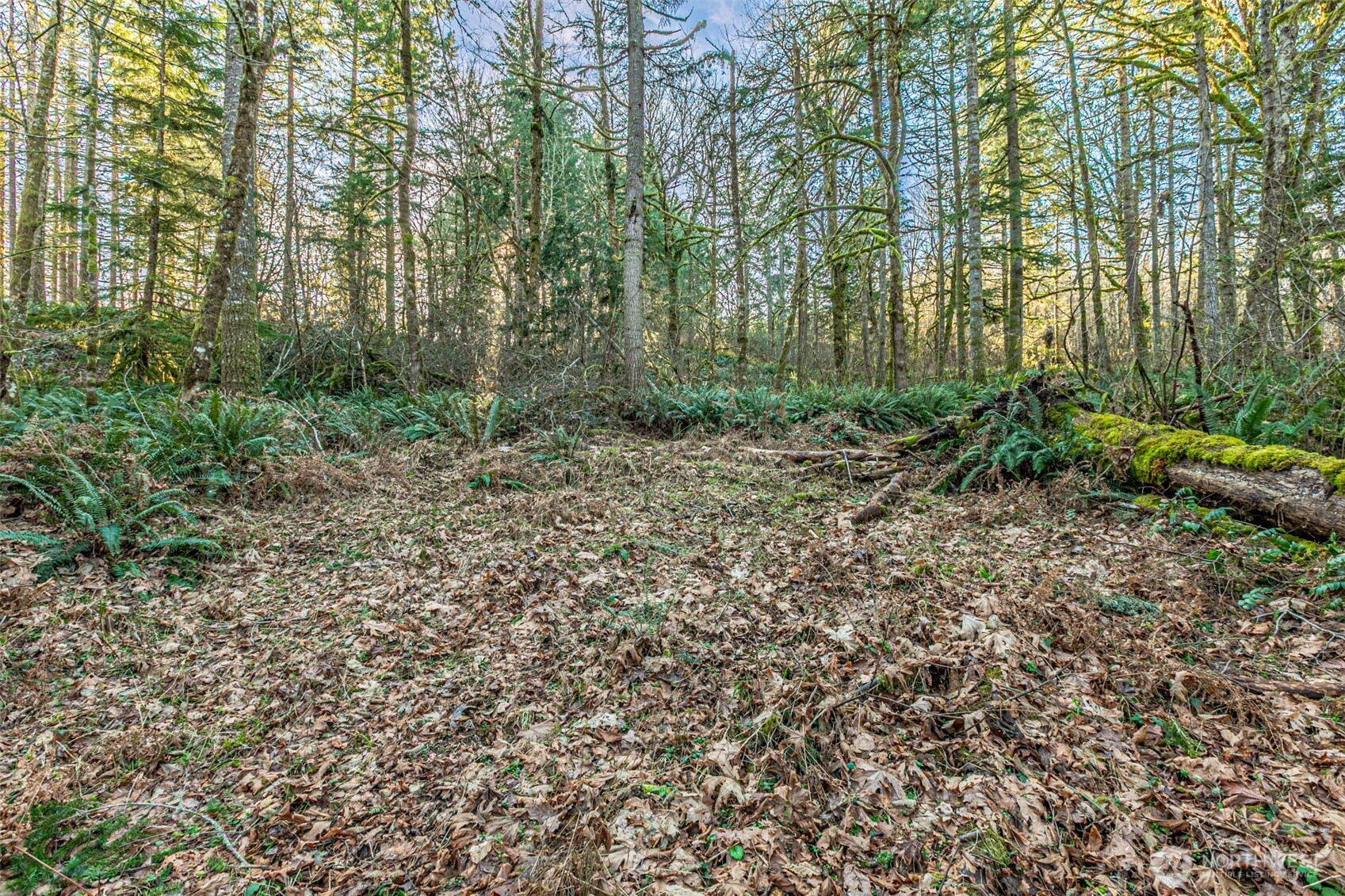 0 Dempsey Lane Southwest Olympia, WA 98512 - Photo 13 of 16