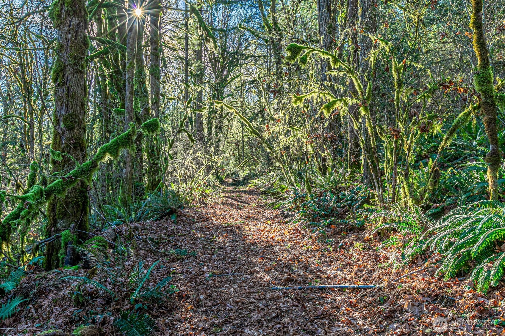 0 Dempsey Lane Southwest Olympia, WA 98512 - Photo 14 of 16