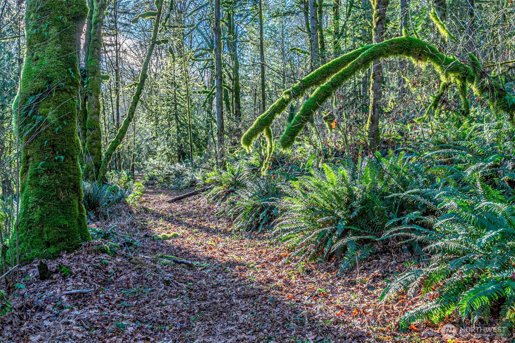 0 Dempsey Lane Southwest Olympia, WA 98512 - Photo 15 of 16