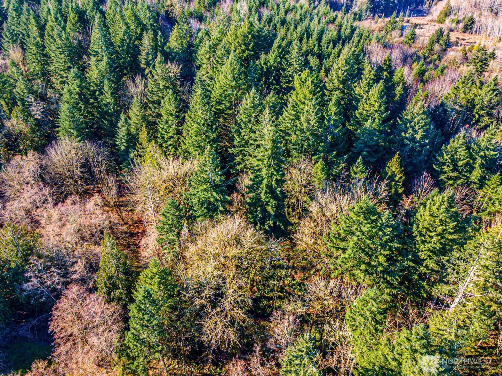 0 Dempsey Lane Southwest Olympia, WA 98512 - Photo 16 of 16