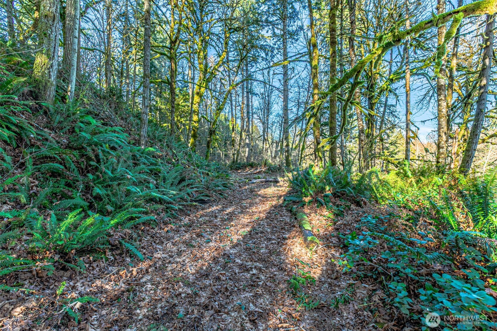 0 Dempsey Lane Southwest Olympia, WA 98512 - Photo 3 of 16