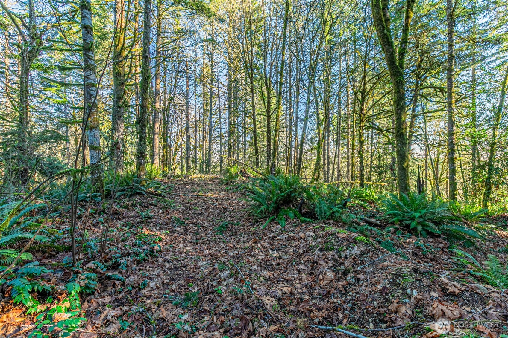 0 Dempsey Lane Southwest Olympia, WA 98512 - Photo 7 of 16