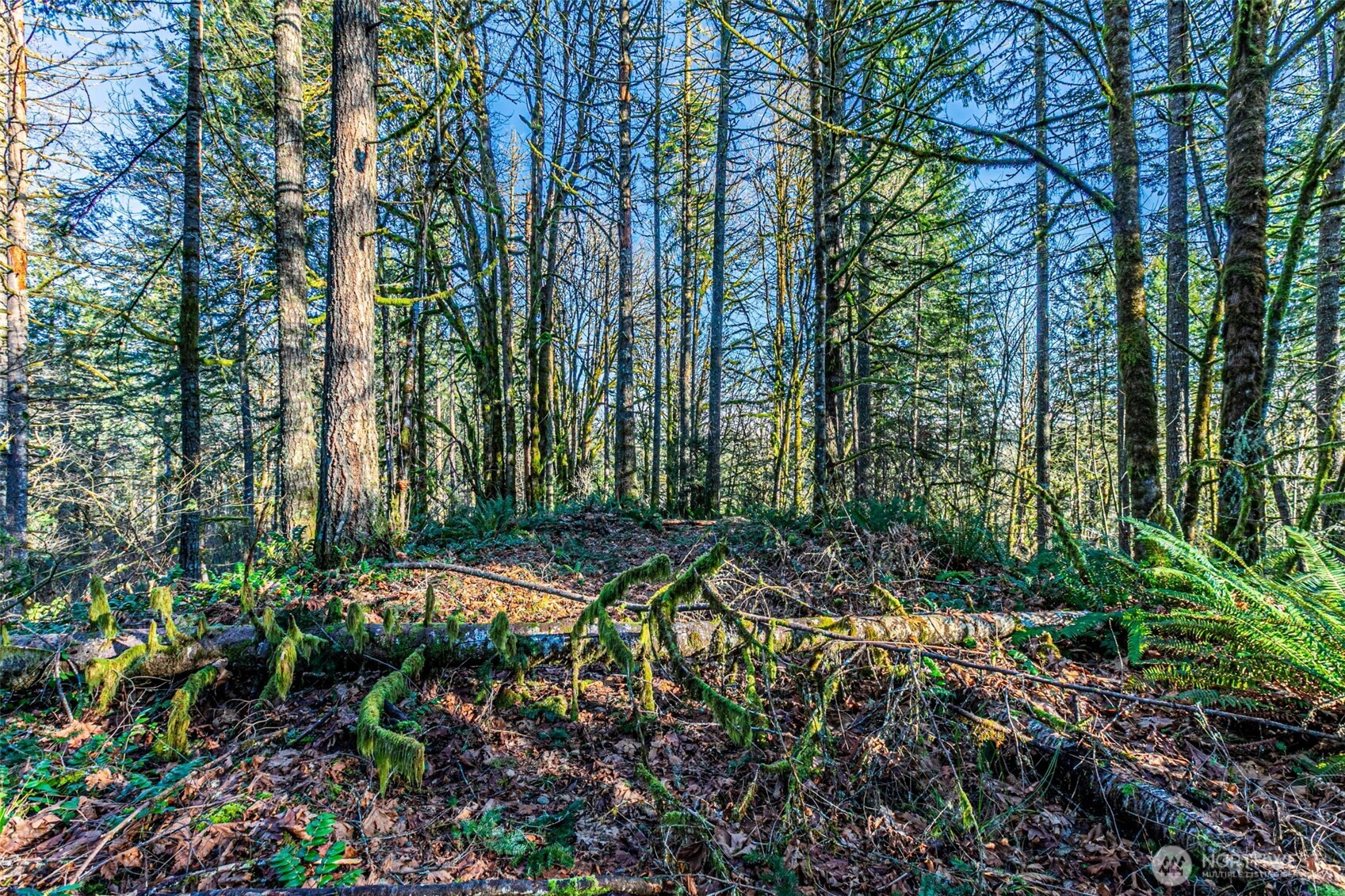 0 Dempsey Lane Southwest Olympia, WA 98512 - Photo 10 of 16