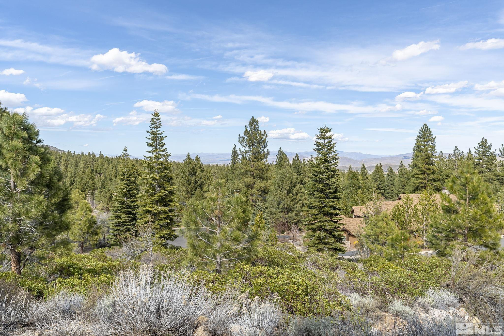 240 East Jeffrey Pine Road Reno, NV 89511 - Photo 13 of 18 Photo 13