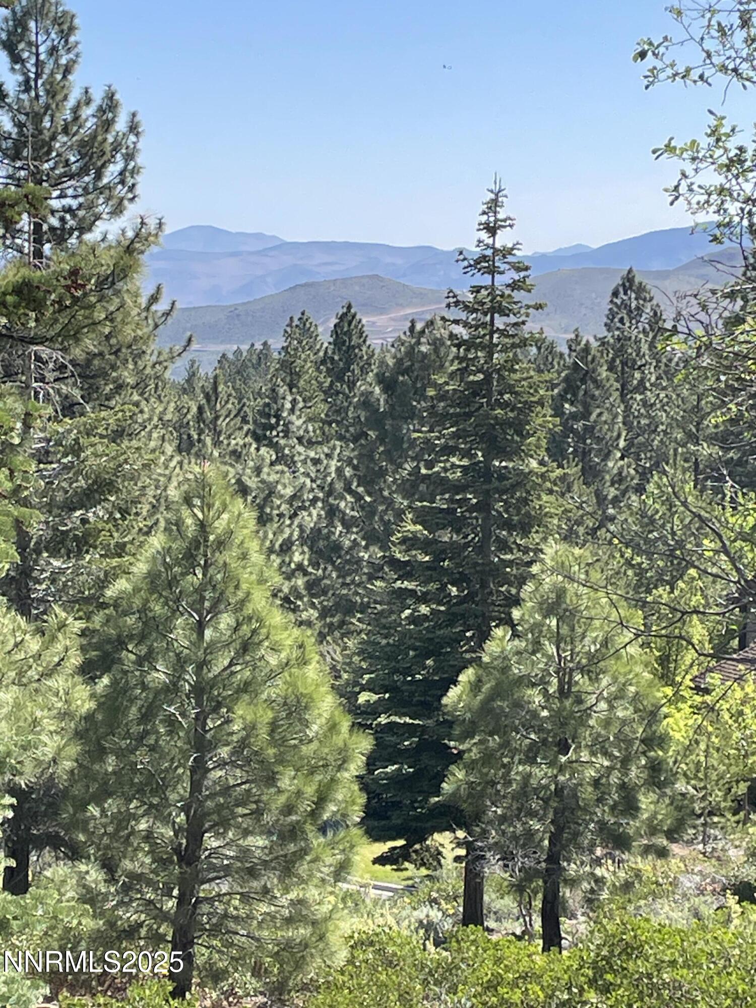 240 East Jeffrey Pine Road Reno, NV 89511 - Photo 17 of 18 IMG_5155