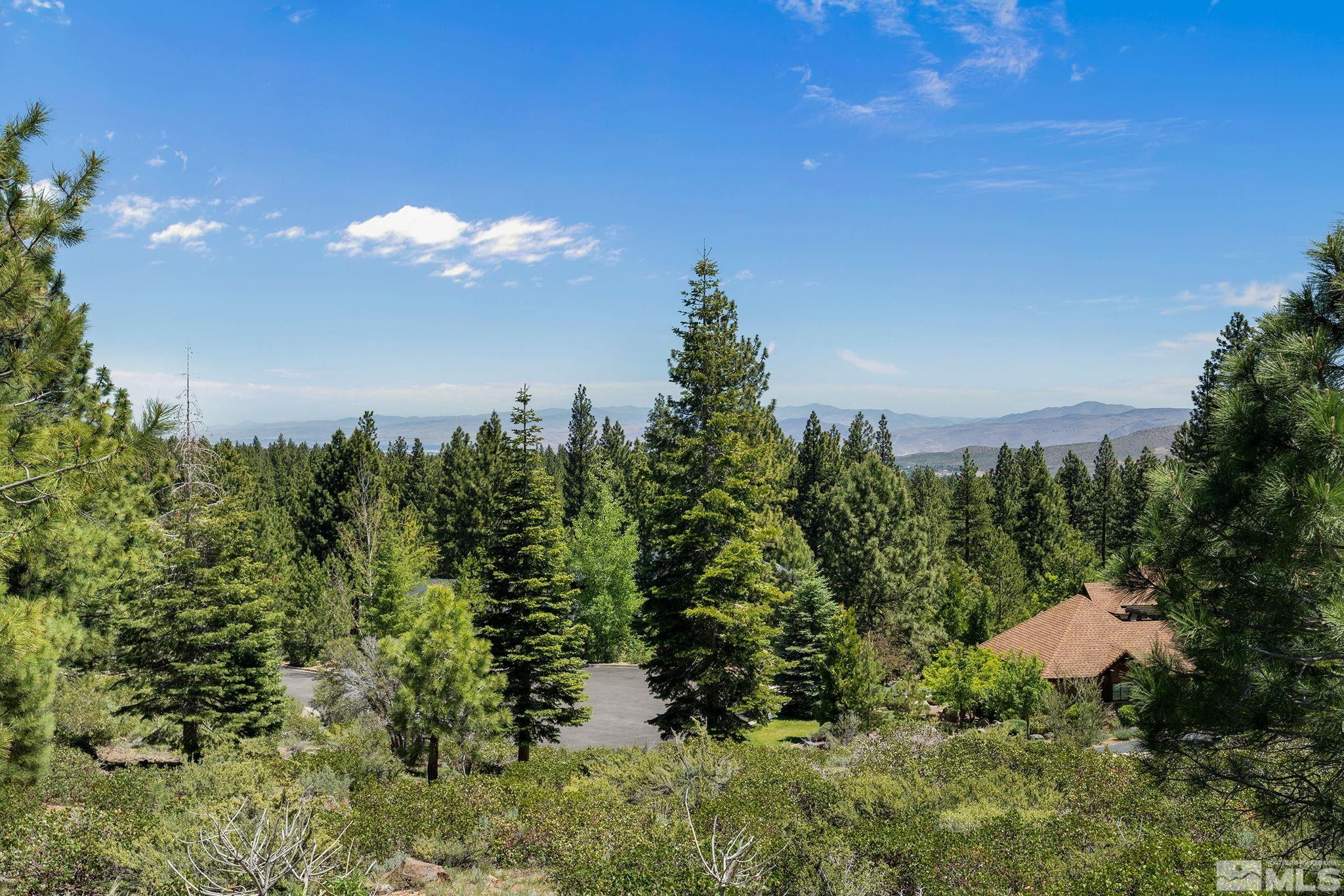 240 East Jeffrey Pine Road Reno, NV 89511 - Photo 4 of 18 Photo 4