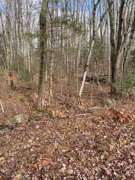 Lot 169-22 Beebe Road Monson, MA 01057 - Photo 6 of 14 Gallery Image 6